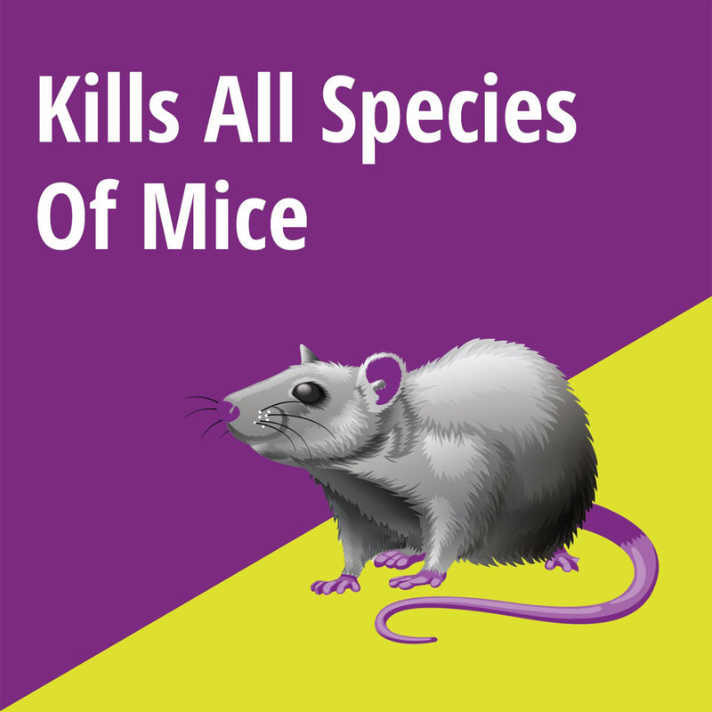 MOUSE X MOUSE KILLER 1LB