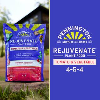 Pennington 4 lbs. Rejuvenate Tomato and Veg Plant Food 4-5-4 100546847