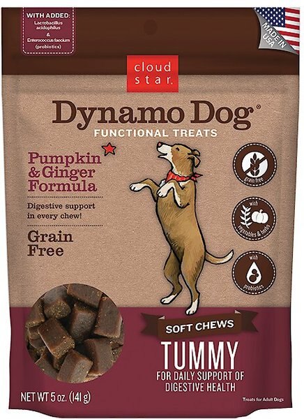 Cloud Star Dynamo Dog Tummy Soft Chews Pumpkin and Ginger Formula Grain-Free Dog Treats