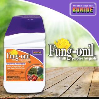 Bonide Fung-onil Multi-Purpose Fungicide 16 oz. Concentrate for Plant Disease Control Controls Blight Mildew and More 880