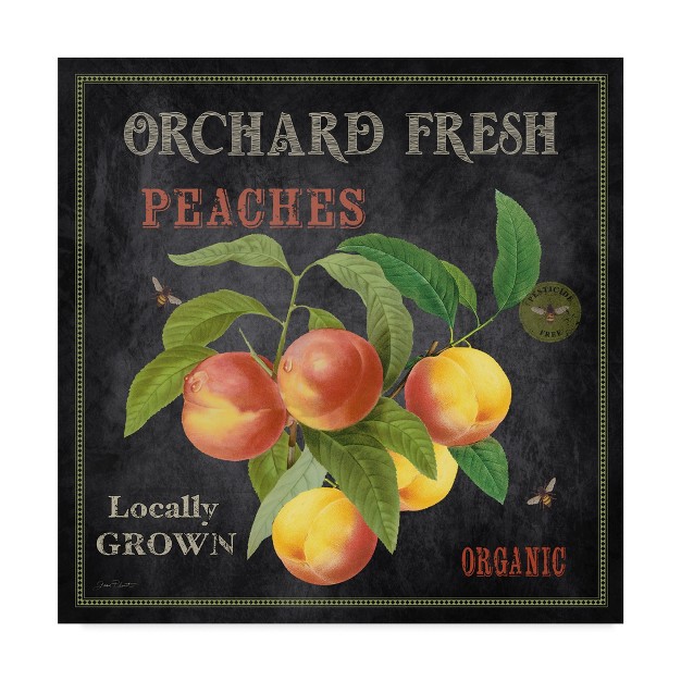 Trademark Fine Art jean Plout x27 orchard Fresh Peaches x27 Canvas Art