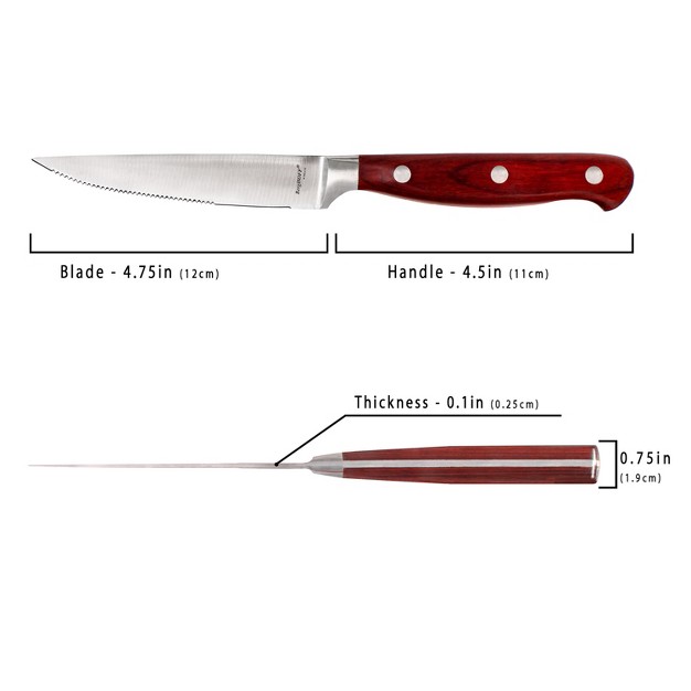 Berghoff Pakka Stainless Steel Steak Knife Set