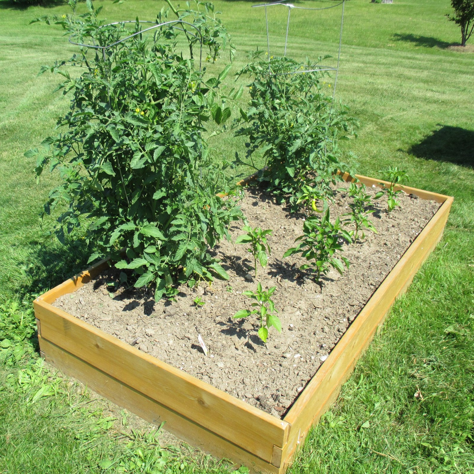 Infinite Cedar 3 ft W x 3 ft L x 11 inches Ht Raised Garden Bed Kit