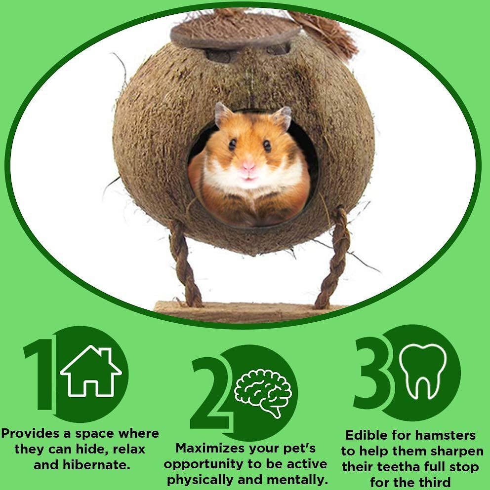 SunGrow Hamster and Gerbil Coconut Hut with Ladder Hideout Accessory Small Animal House， 5-in