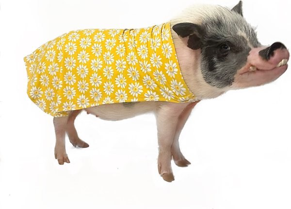 Morty's Pig Clothes Summer Sun Cloak UV Protection Mini Pig Dress， Blue Dot