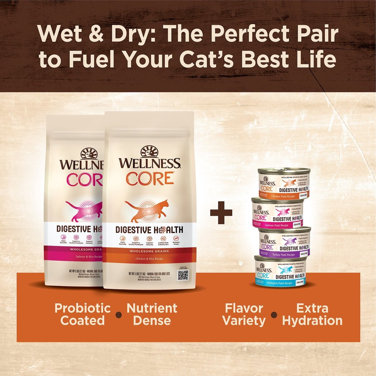 Wellness CORE Digestive Health Salmon Pate Recipe Grain-Free Wet Cat Food， 3-oz， case of 12