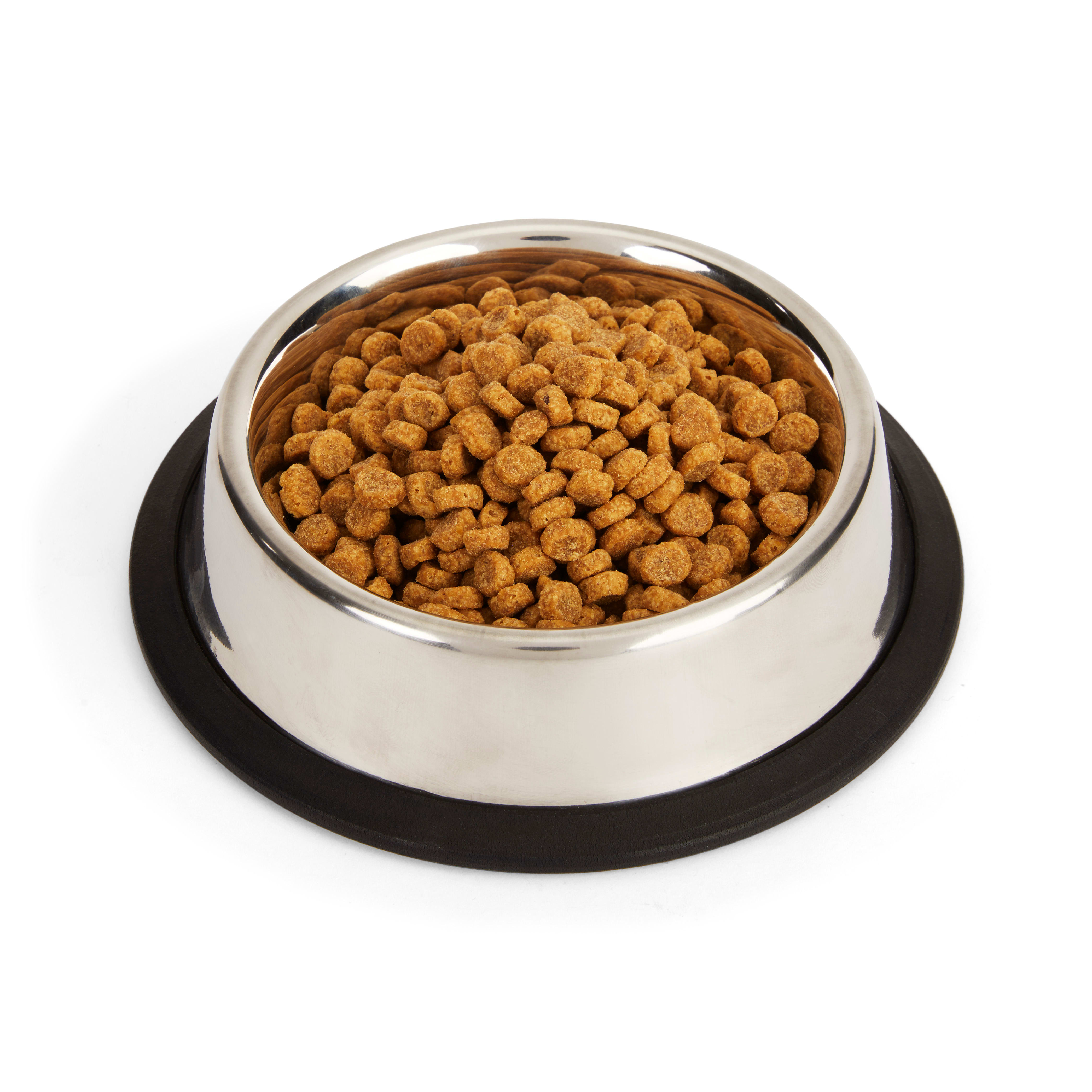 EVERYYAY Dining In Brushed Stainless Steel No-Tip Cat Bowl， 1 Cup