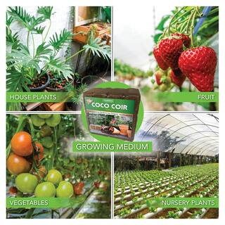 Harris 108 Gal. Expanding Coco Coir Pith (48 Brick12-Pack)  8 Dry Qt. Premium Horticultural Perlite 12COCO4-PERL8