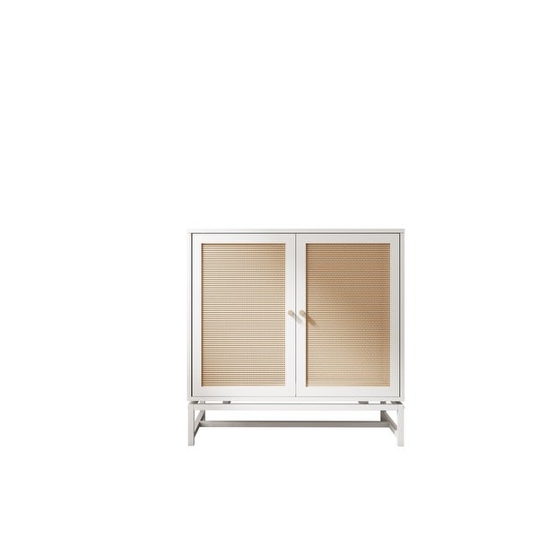 Rattan 2 door storage cabinet