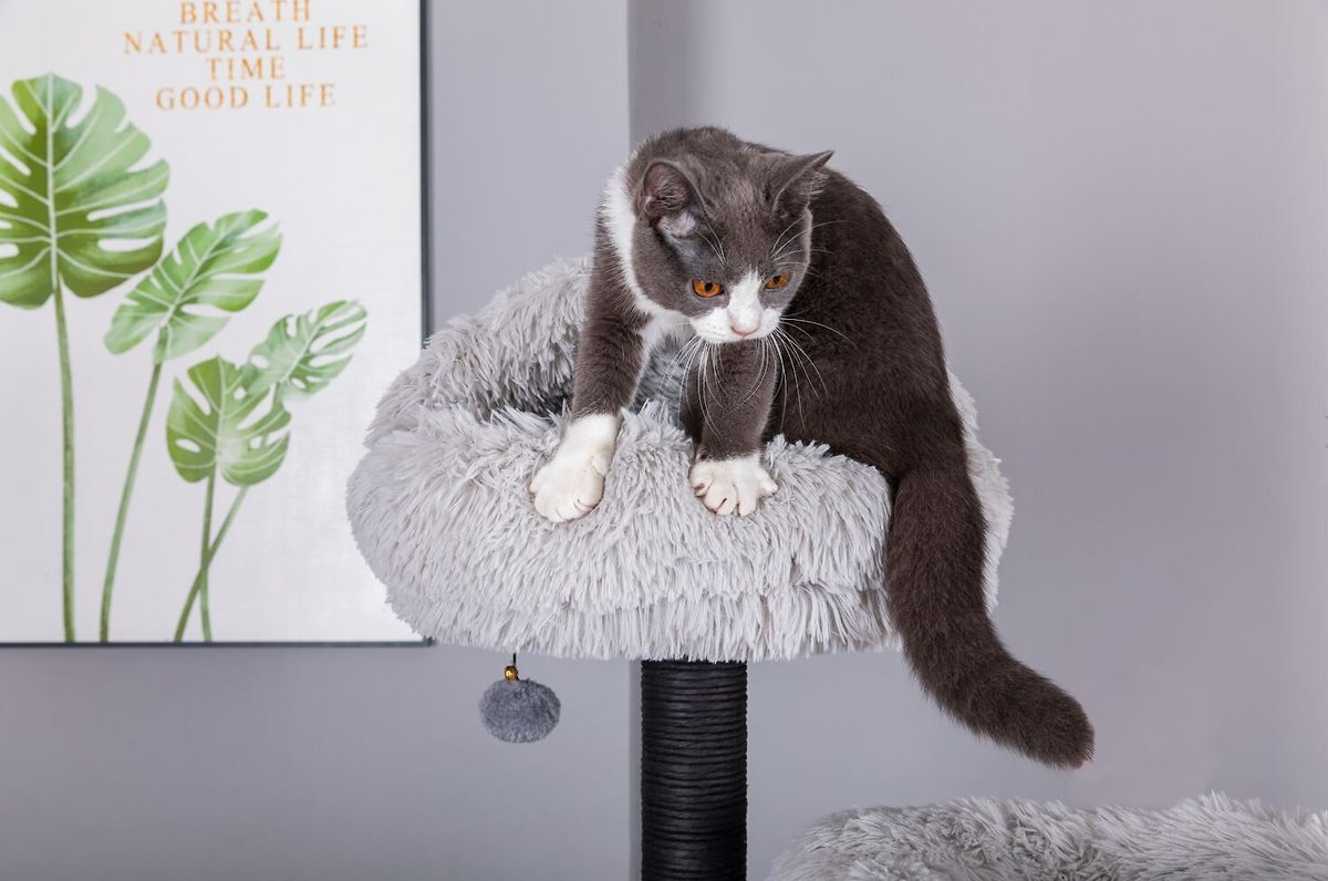 Catry 63-in Faux-Fur Cat Tree and Condo