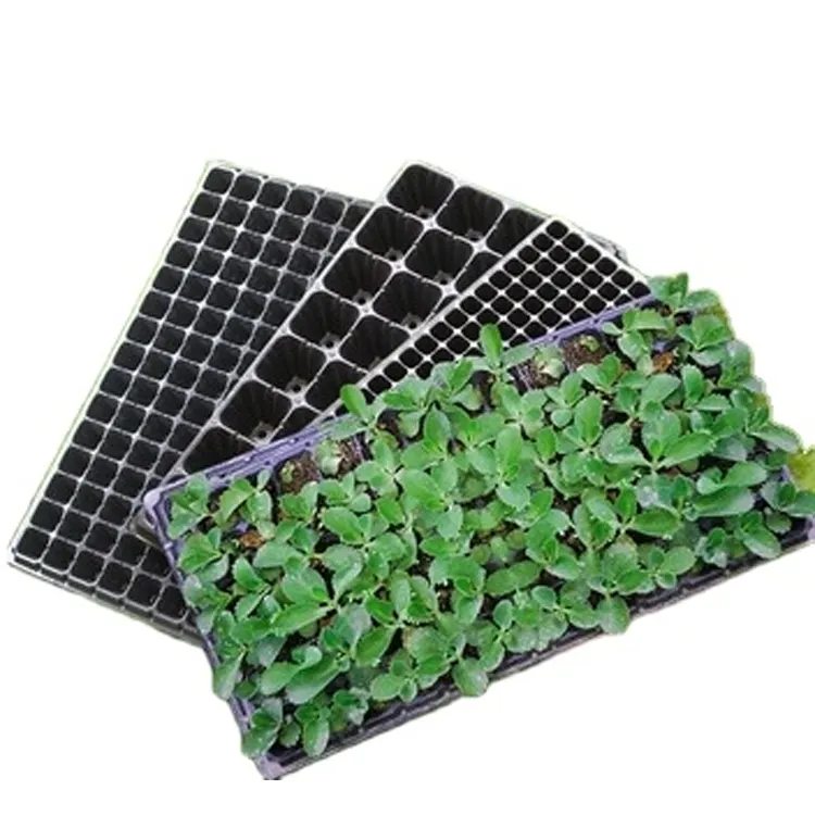 Seed Starter Trays 5 Pack Reusable  BPA Free 1020 Trays for Sprouting Seeds Seed Starter Kits   Gardening Supplies