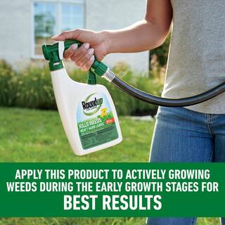 Roundup 32 oz. For Lawns 3 Ready-To-Spray (Northern) 502041005