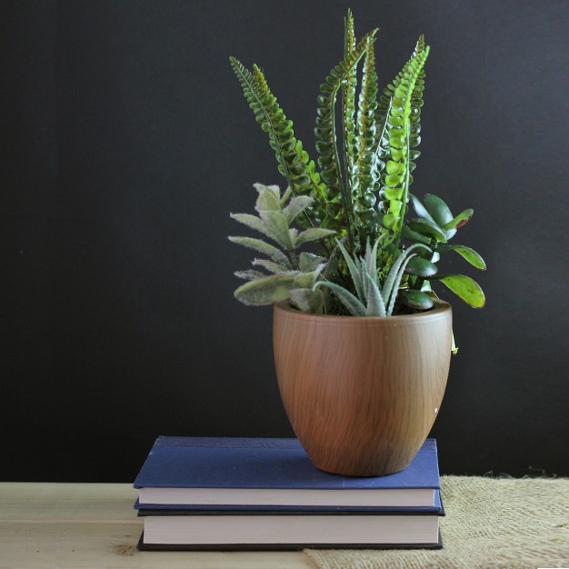 Mixed Succulents And Fern Artificial Potted Arrangement - Green/brown