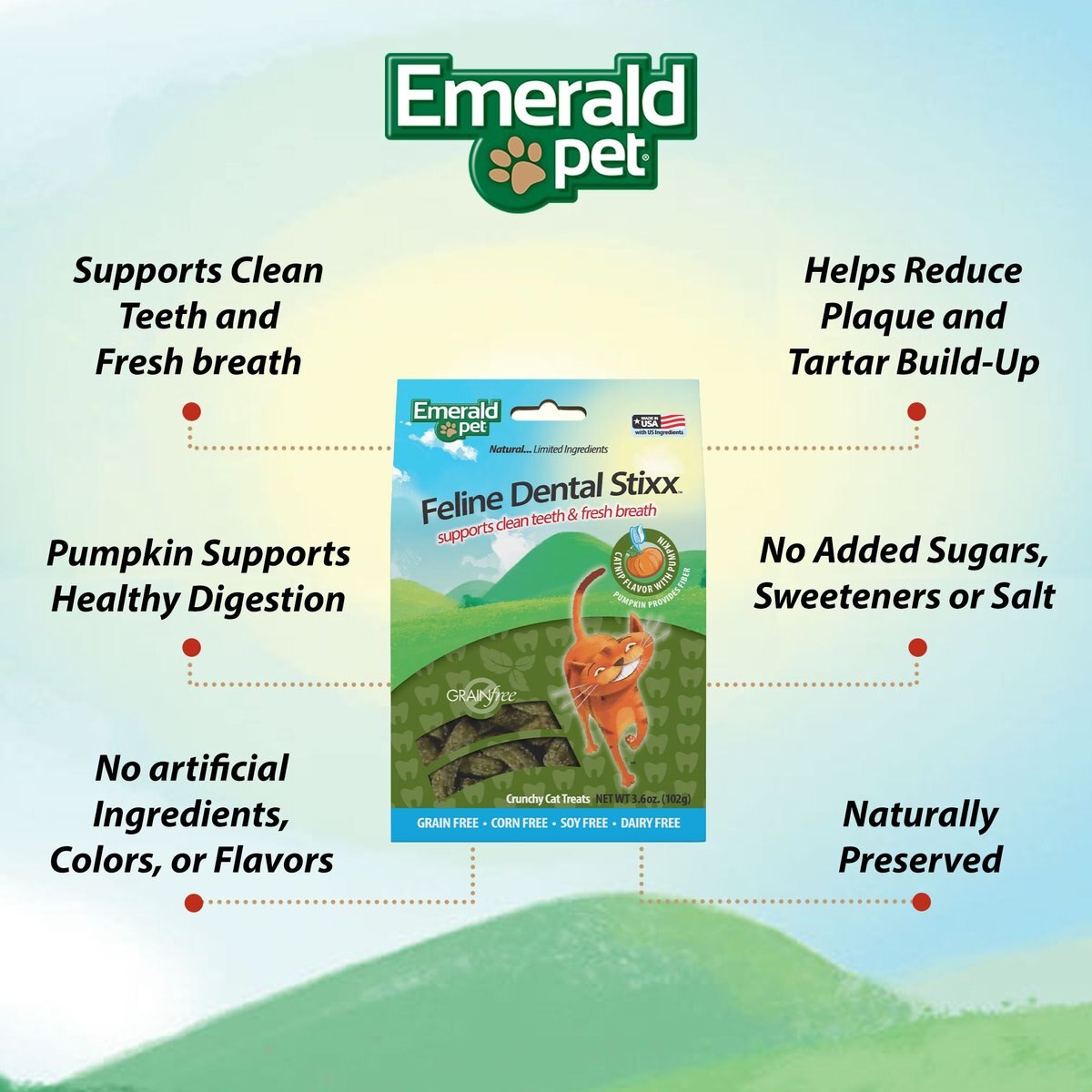 Emerald Pet Feline Dental Stixx Catnip Flavor With Pumpkin Grain-Free Dental Cat Treats， 3.6-oz bag