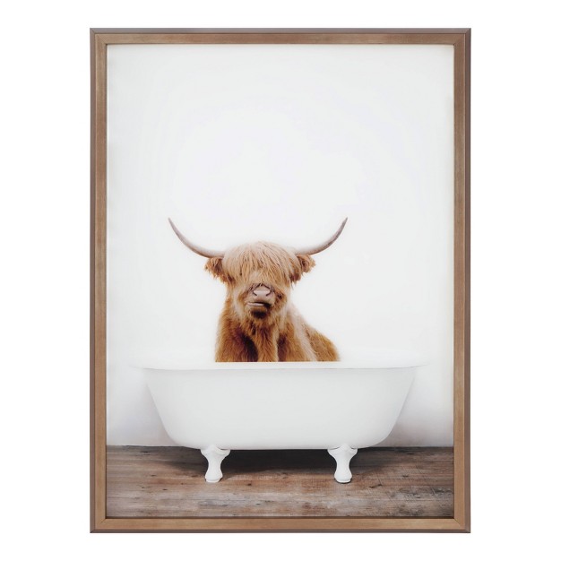 X 24 quot Blake Highland Cow In Tub Framed Printed Glass By Amy Peterson Gold Kate And Laurel