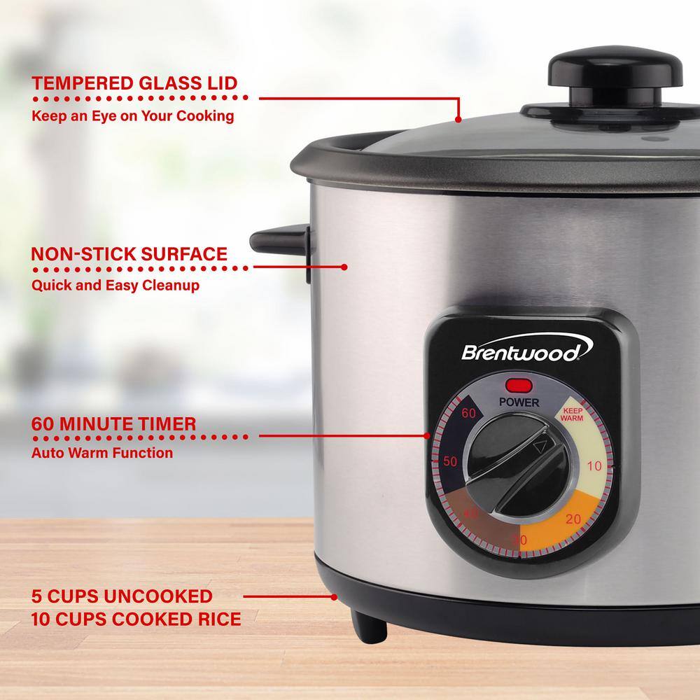 Brentwood 5-Cup Uncooked  10-Cup Silver Cooked Crunchy Persian Rice Cooker 985116290M