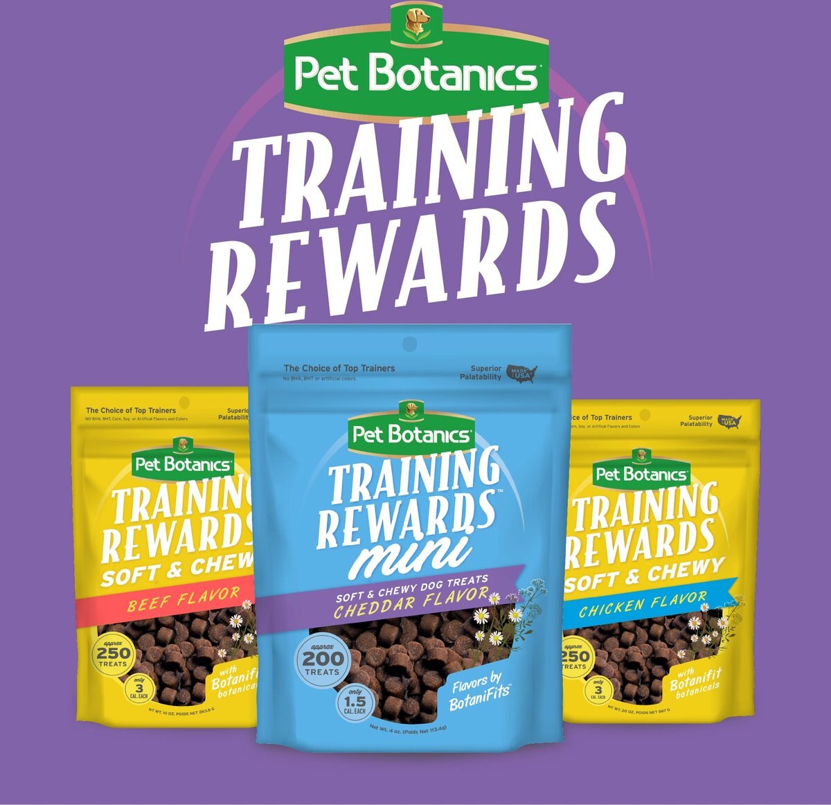 Pet Botanics Training Rewards Cheddar Soft and Chewy Dog Treats， Mini， 4-oz bag