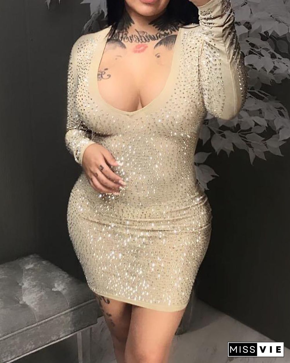 Shiny Mesh Long Sleeve Mini Dress