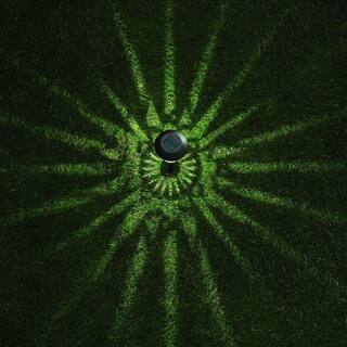 Hampton Bay Frazier 10 Lumens Solar Black LED Landscape Pathway Light Set (4-Pack) P1501-04