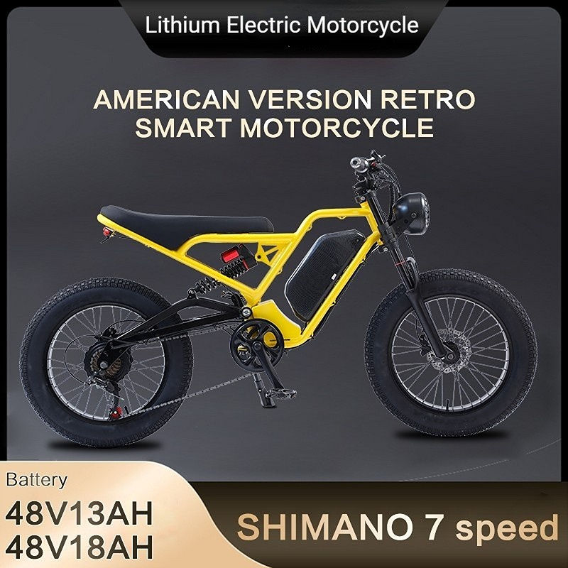 Wholesale new America retro big frame powerful 18/36/40 AH Li on battery cycle electric bike 1500W motor cycle mountain city men