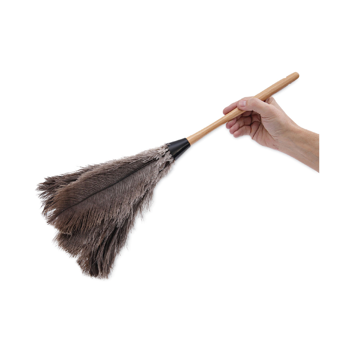 Professional Ostrich Feather Duster by Boardwalkandreg; BWK20GY