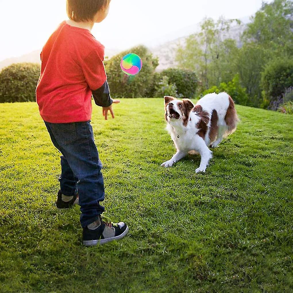 2 Pcs Large Light Up Dog Balls Flashing Elastic Ball Bouncy Glow In The Dark Interactive Jumpin