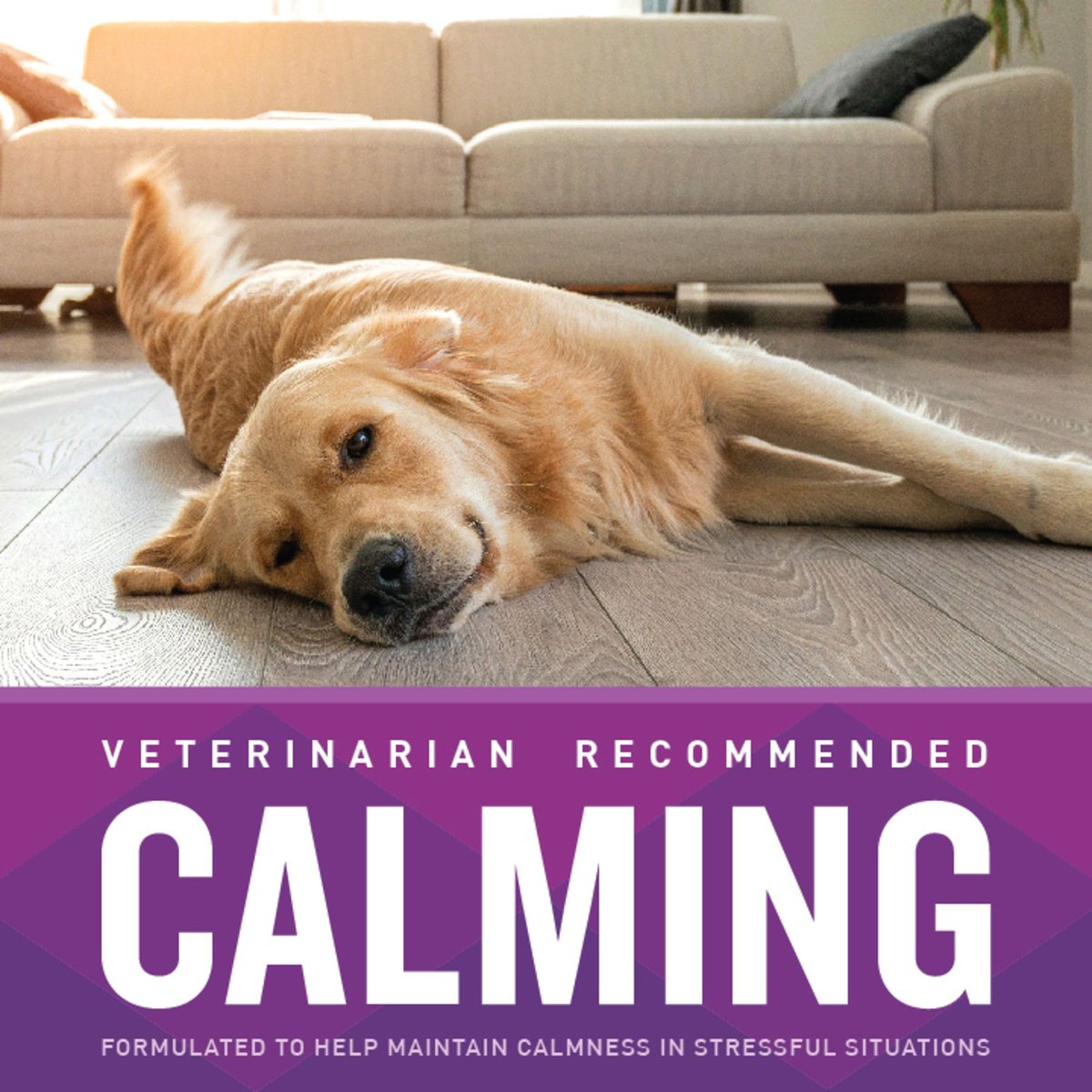 VetIQ Calming Soft Chew Calming Supplement for Dogs