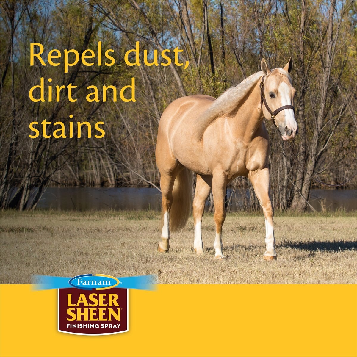 Farnam Laser Sheen Concentrate Horse Shine and Detangler