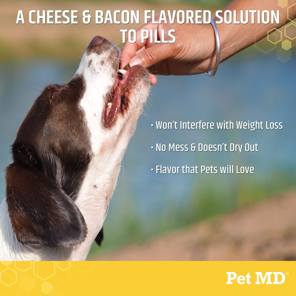 Pet MD Wrap-A-Pill Cheese and Bacon Flavor Pill Paste