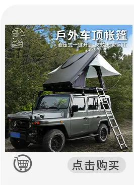 Custom Wholesale Outdoor Camping Shade Shelter Awning Folding Car Cover Tent