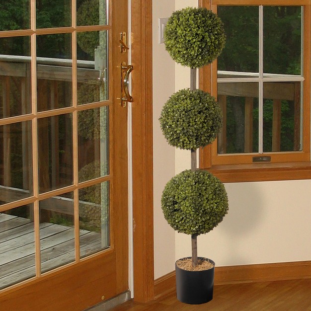 Boxwood Three ball Topiary National Tree Company