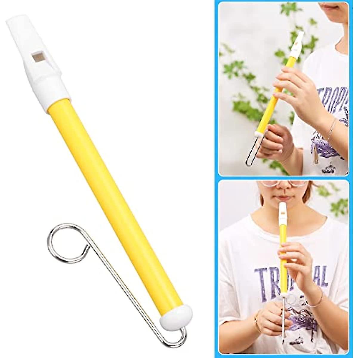 Slide Whistle Instrument  2pcs Slide Whistle Toy Metal Sliding Flute Professional Musical Instrument For Kids Beginners
