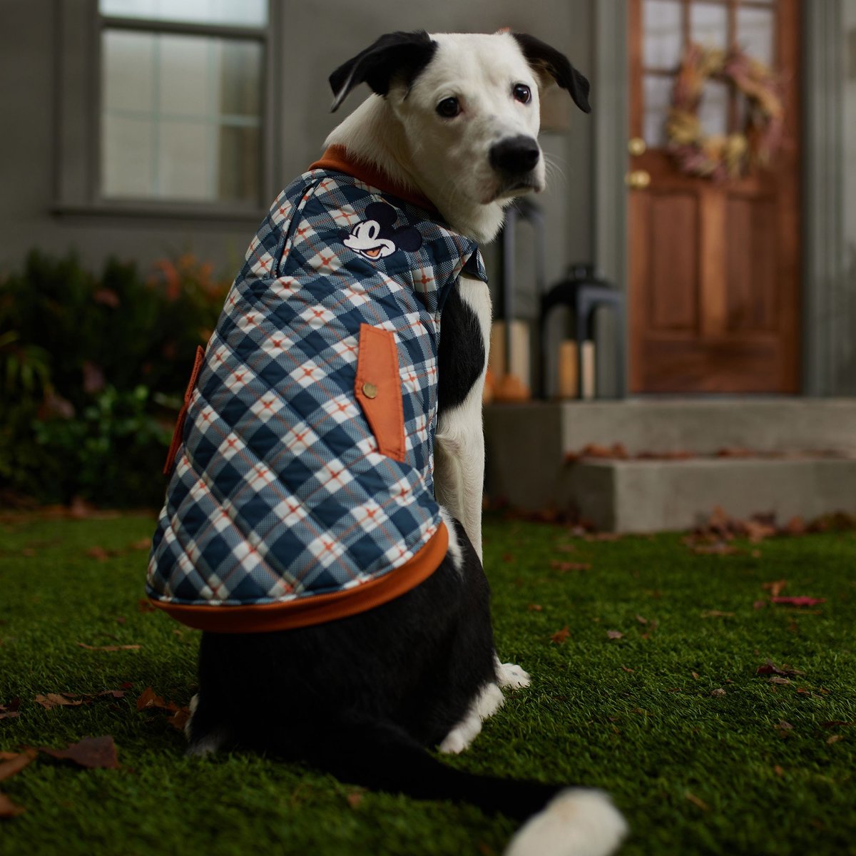 Disney Lightweight Mickey Quilted Bomber Dog and Cat Jacket