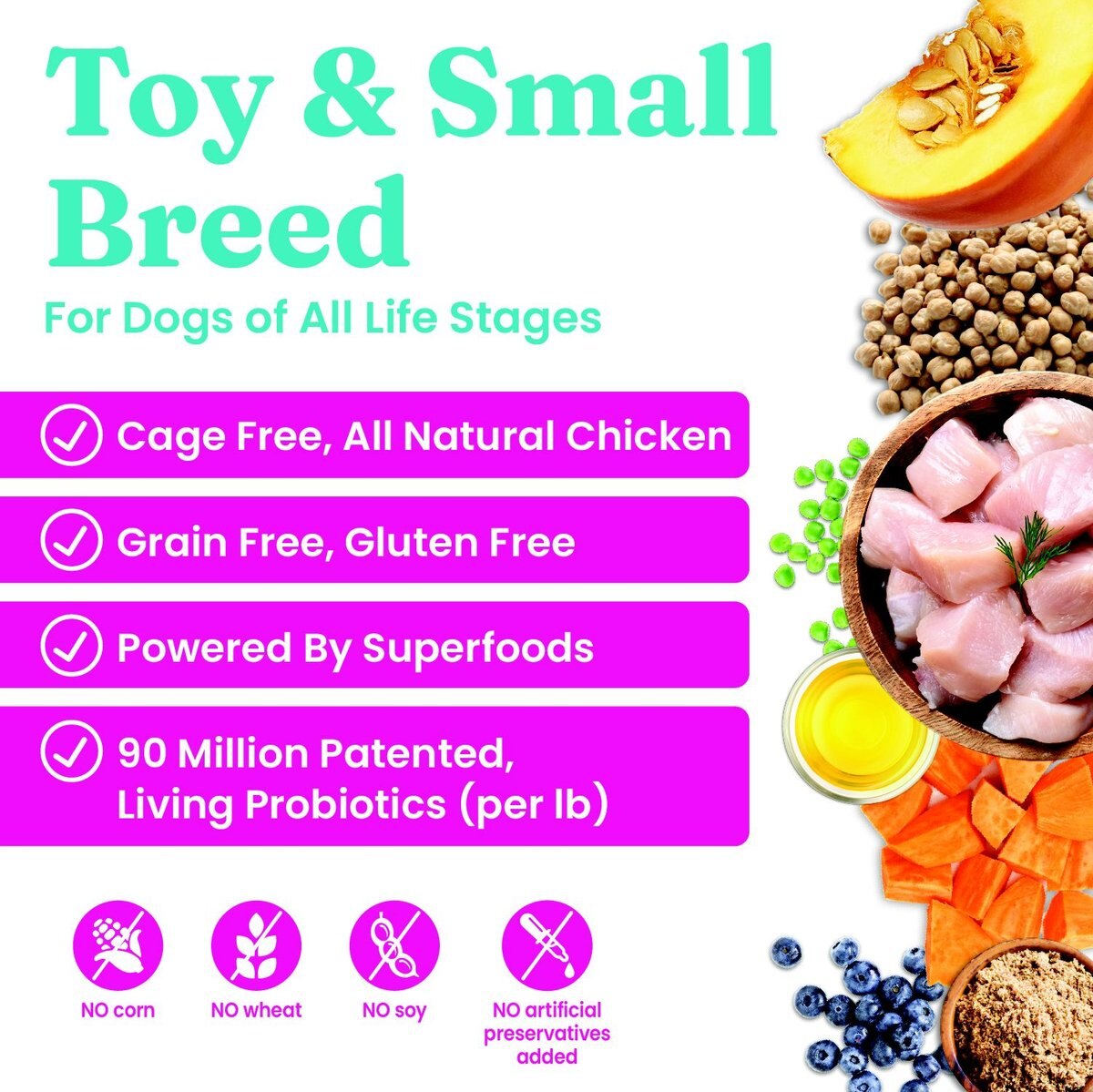 Solid Gold NutrientBoost Mighty Mini Gut Health Small and Toy Breed Grain-Free Chicken， Chickpea and Pumpkin Dry Dog Food