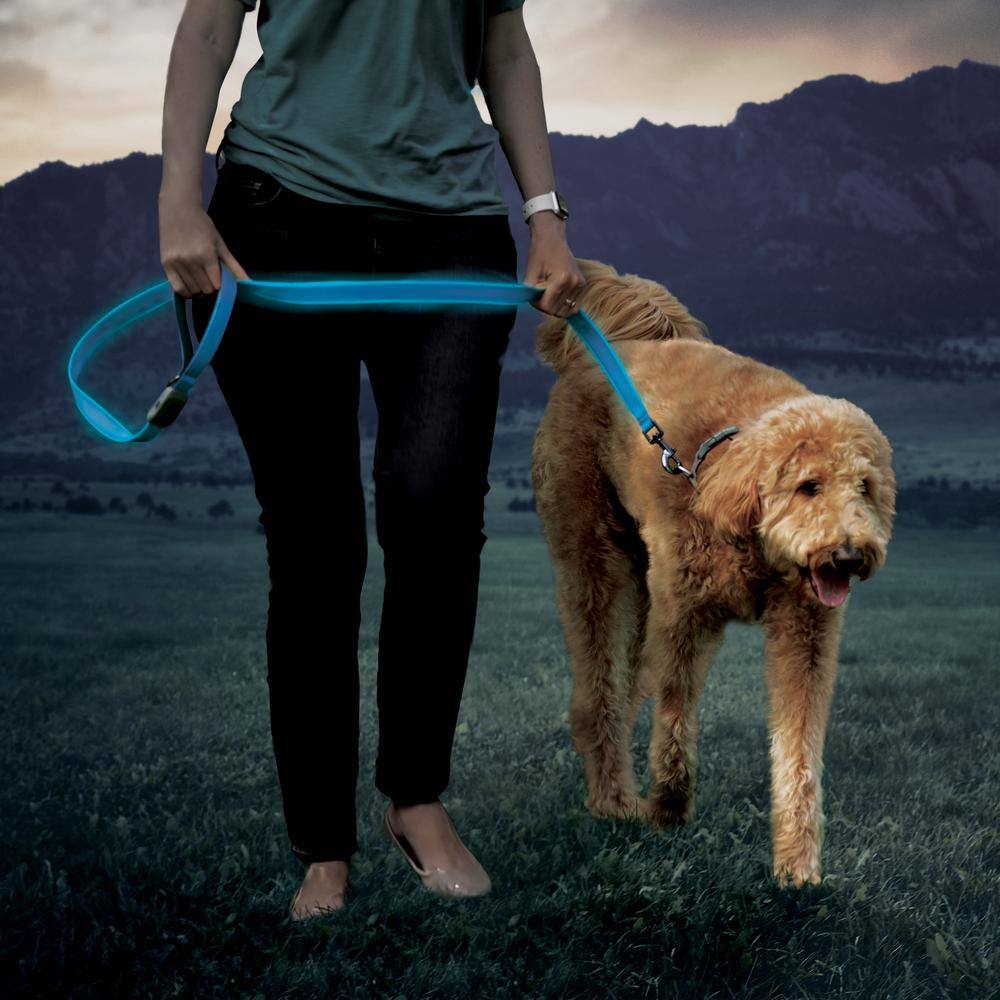 Nite Ize NiteDog Rechargeable LED Leash - BlueBlue LED NDLR-03-R3