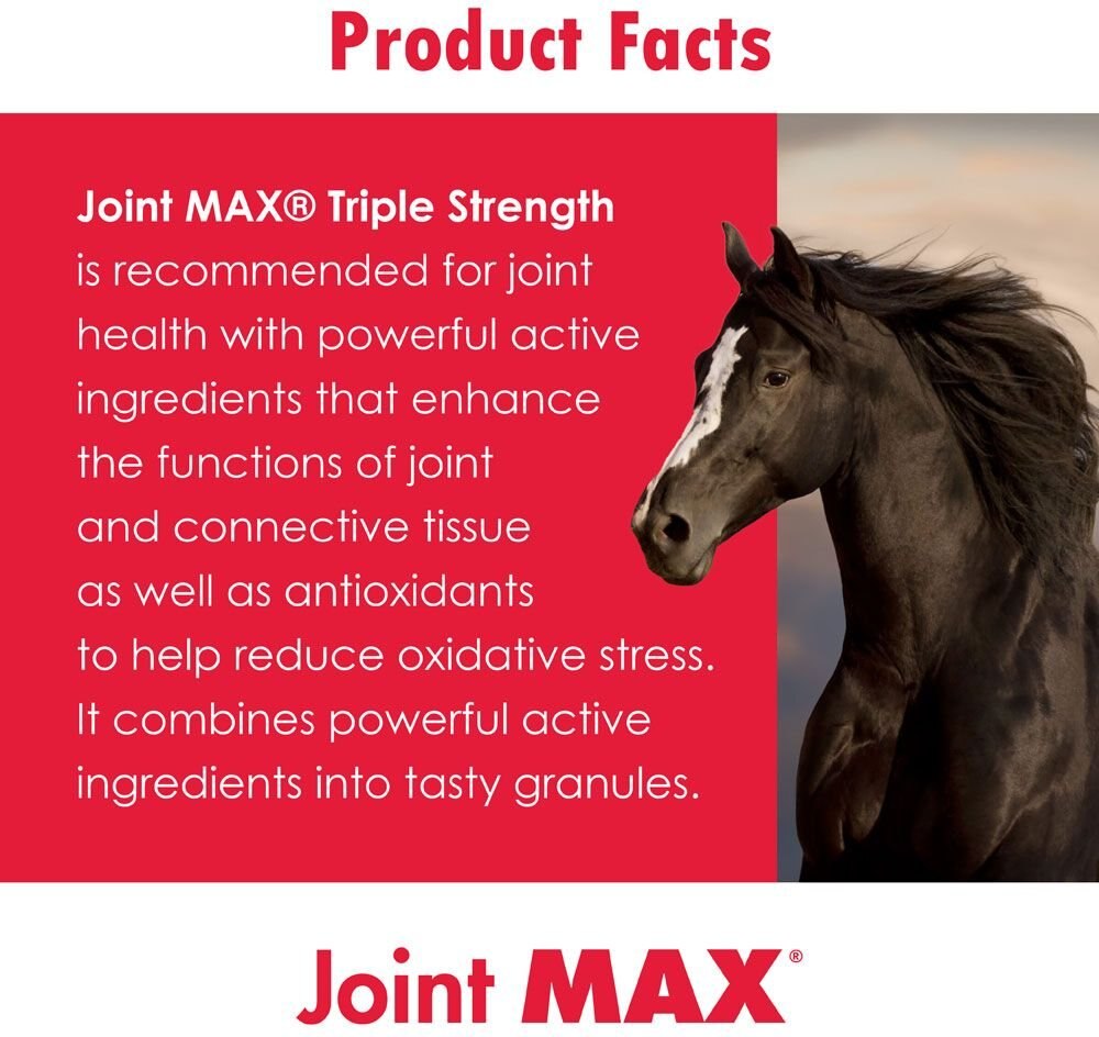 Ora-Clens Joint Max Triple Strength Horse Supplement， 2880-grams