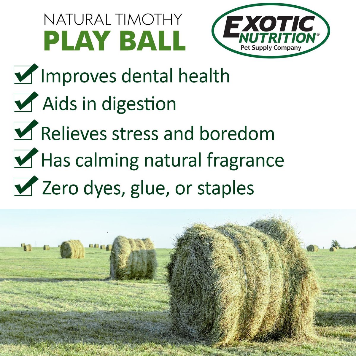 Exotic Nutrition Natural Timothy Play Ball Small Animal Treat