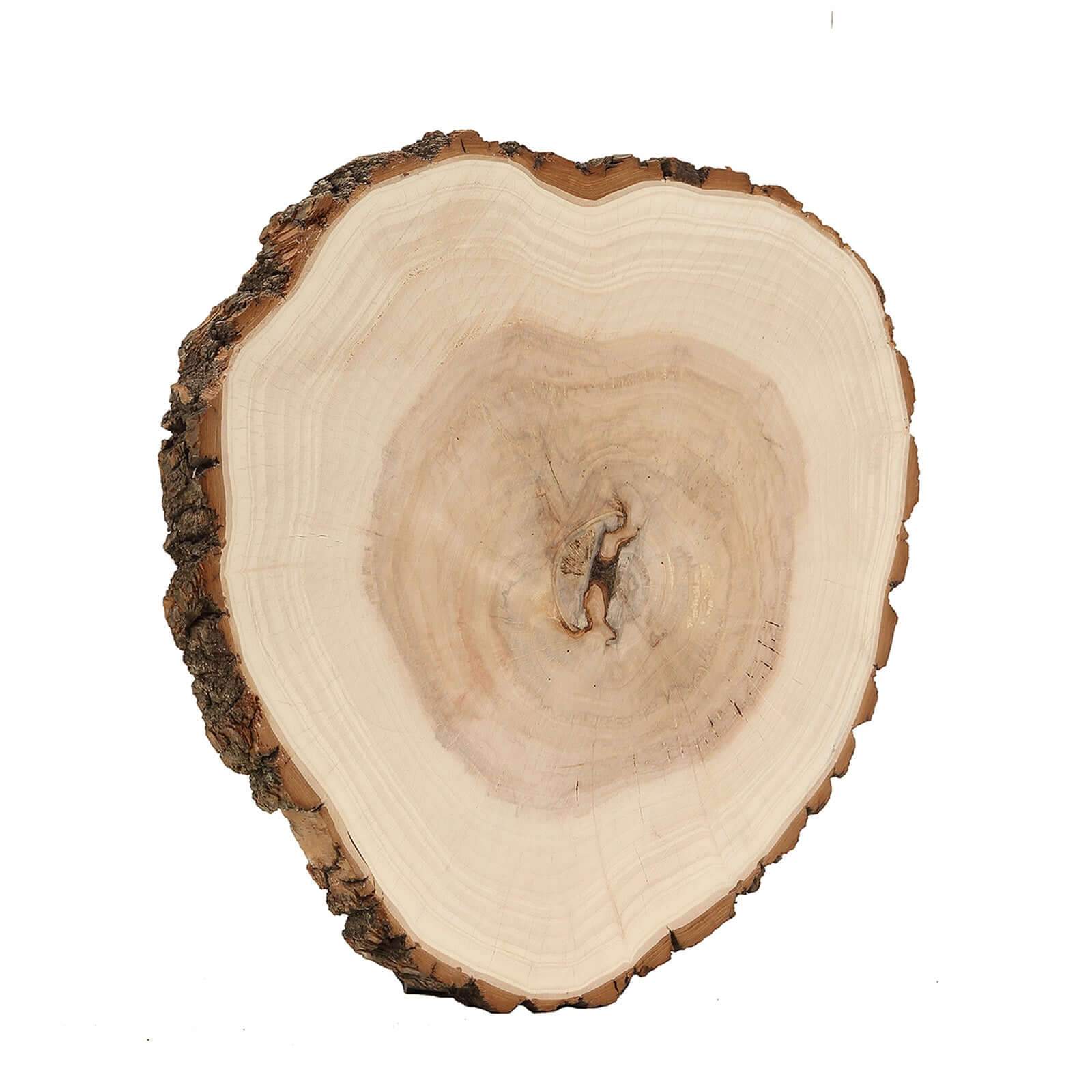 Round Rustic Wood Slices, Poplar Wood Slabs Natural Color, Table Centerpieces 18