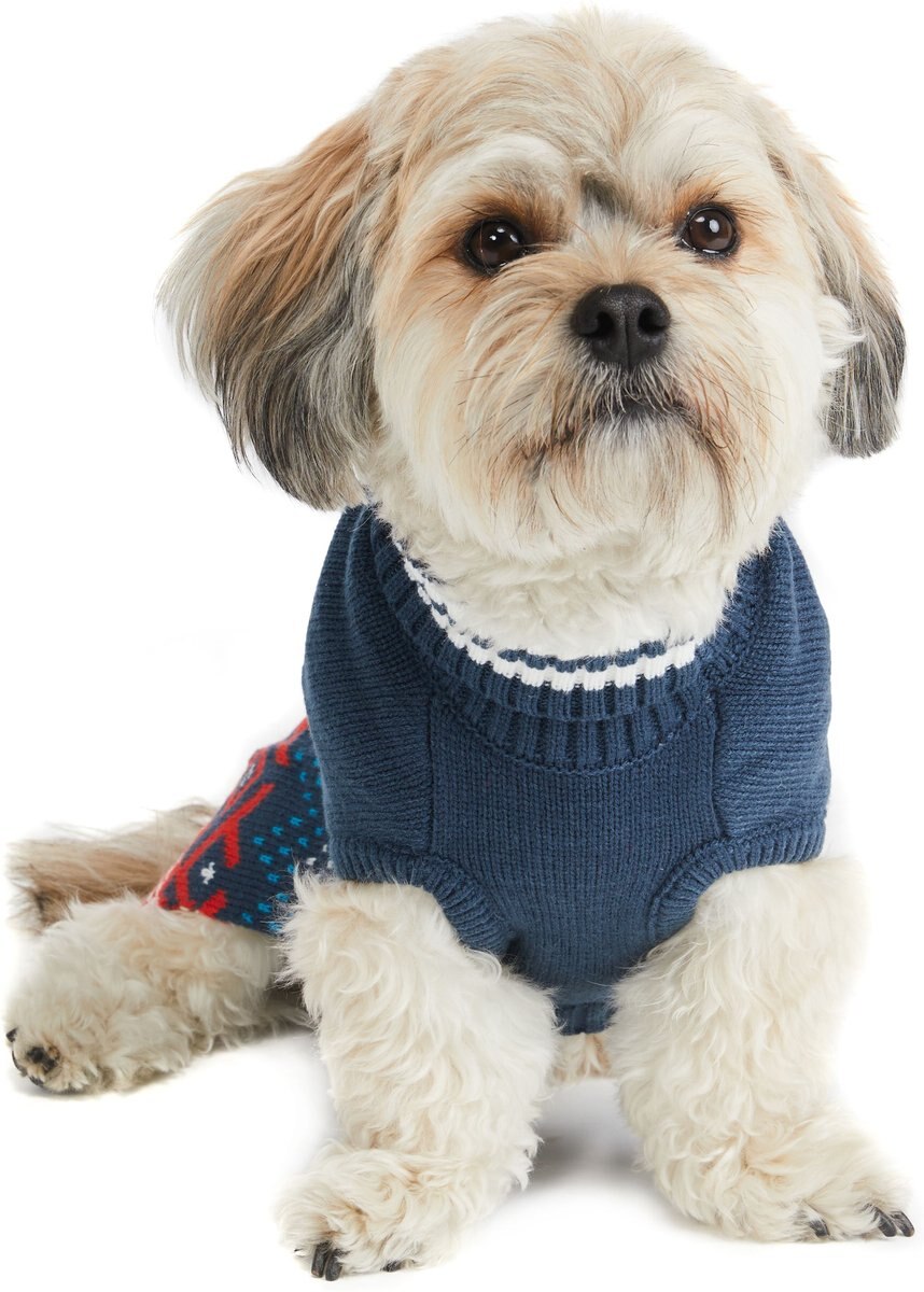 Hotel Doggy Dog Sweater