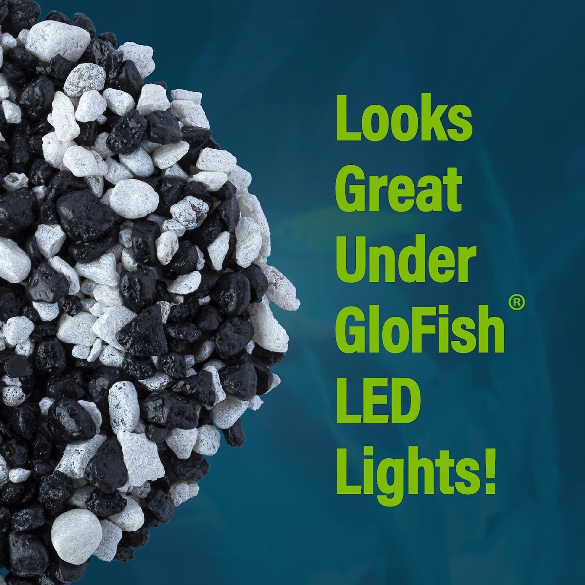 GloFish Aquarium Fish Gravel， Black and White， 5-lb