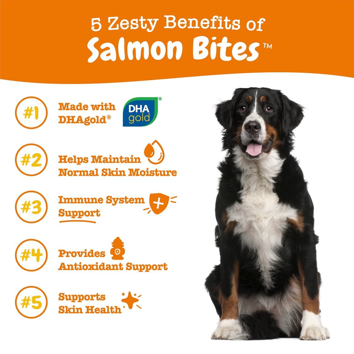 Zesty Paws Salmon Bites Salmon Flavored Soft Chews Skin and Coat Supplement for Dogs