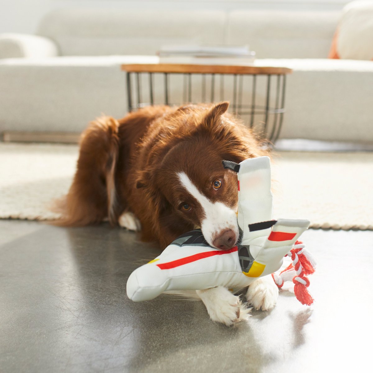 STAR WARS X-WING STARFIGHTER Plush Squeaky Dog Toy