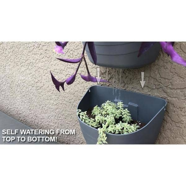 7 in. x 12 in. x 9.5 in. Black Resin BPA-Free Wall Mounted Self-Watering Wall Planter WpotBlk1set