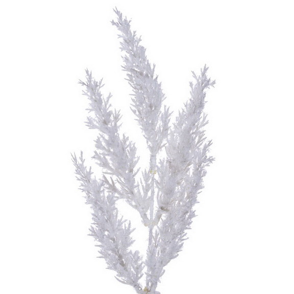 Vickerman 24 White Pampas Grass Wreath