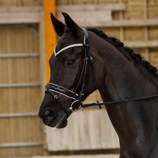 Horze Equestrian Grayson Classic Dressage Ergonomic Horse Bridle