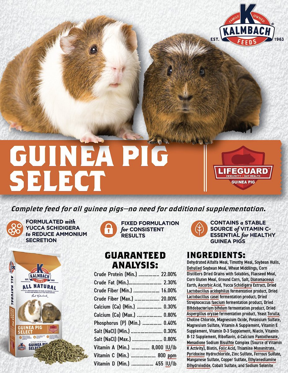 Kalmbach Feeds All Natural Guinea Pig Select Food， 50-lb bag