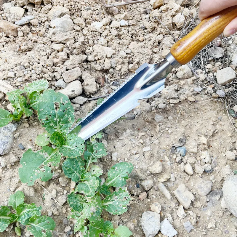 Stainless Steel Digging Tools Trowel shovel  Garden Hand Gardening Tool ashtree Wood with saw blade  grass weeder transplant