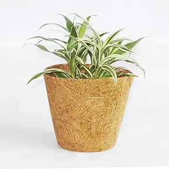 HighQuality CocoCoir Pots Marvel for Your Garden CocoCoir Pots Simplifying Gardening for  Your Needs From Indian Exporters