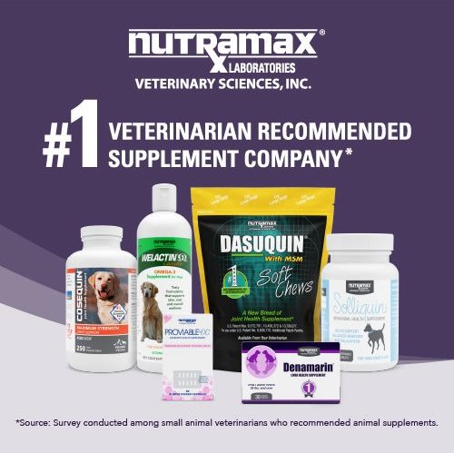 Nutramax Denamarin with S-Adenosylmethionine and Silybin Tablets Liver Supplement for Medium Dogs