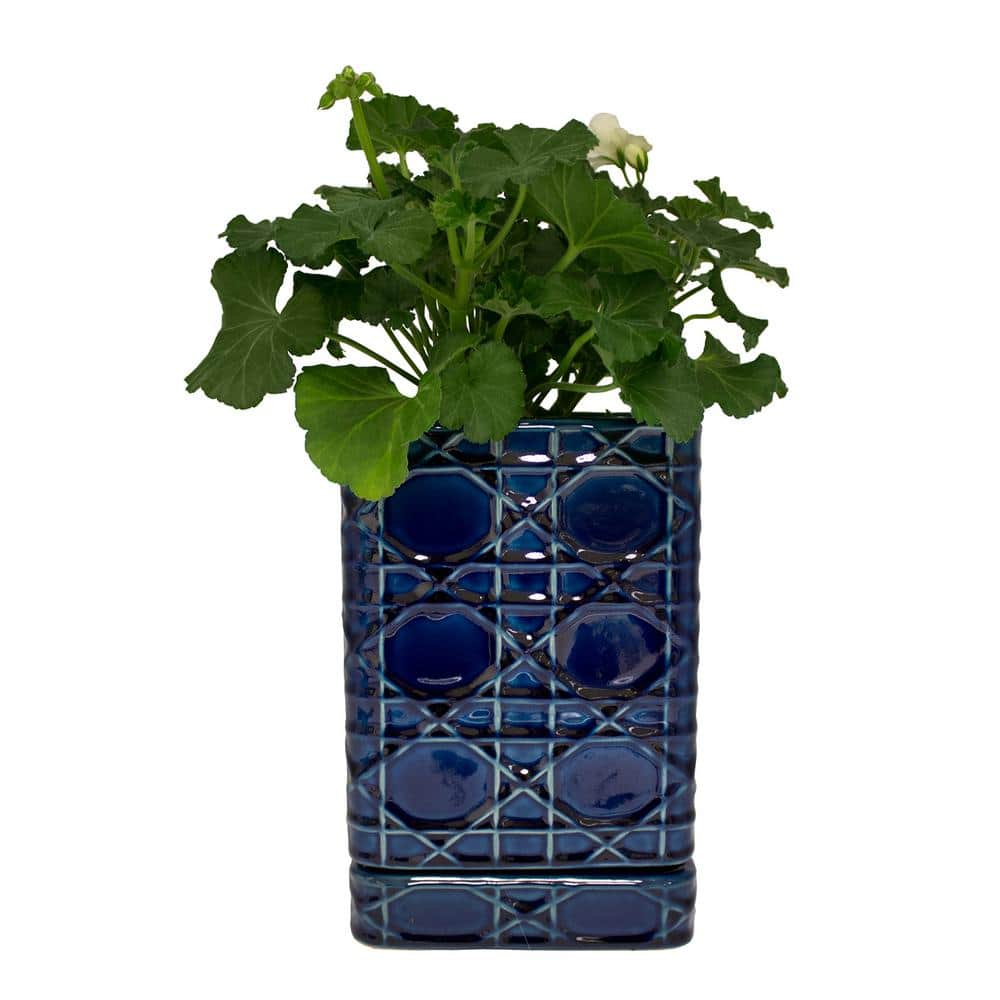 Trendspot 6 in. Cobalt Blue Carlysle Square Ceramic Planter CR00672S-060M